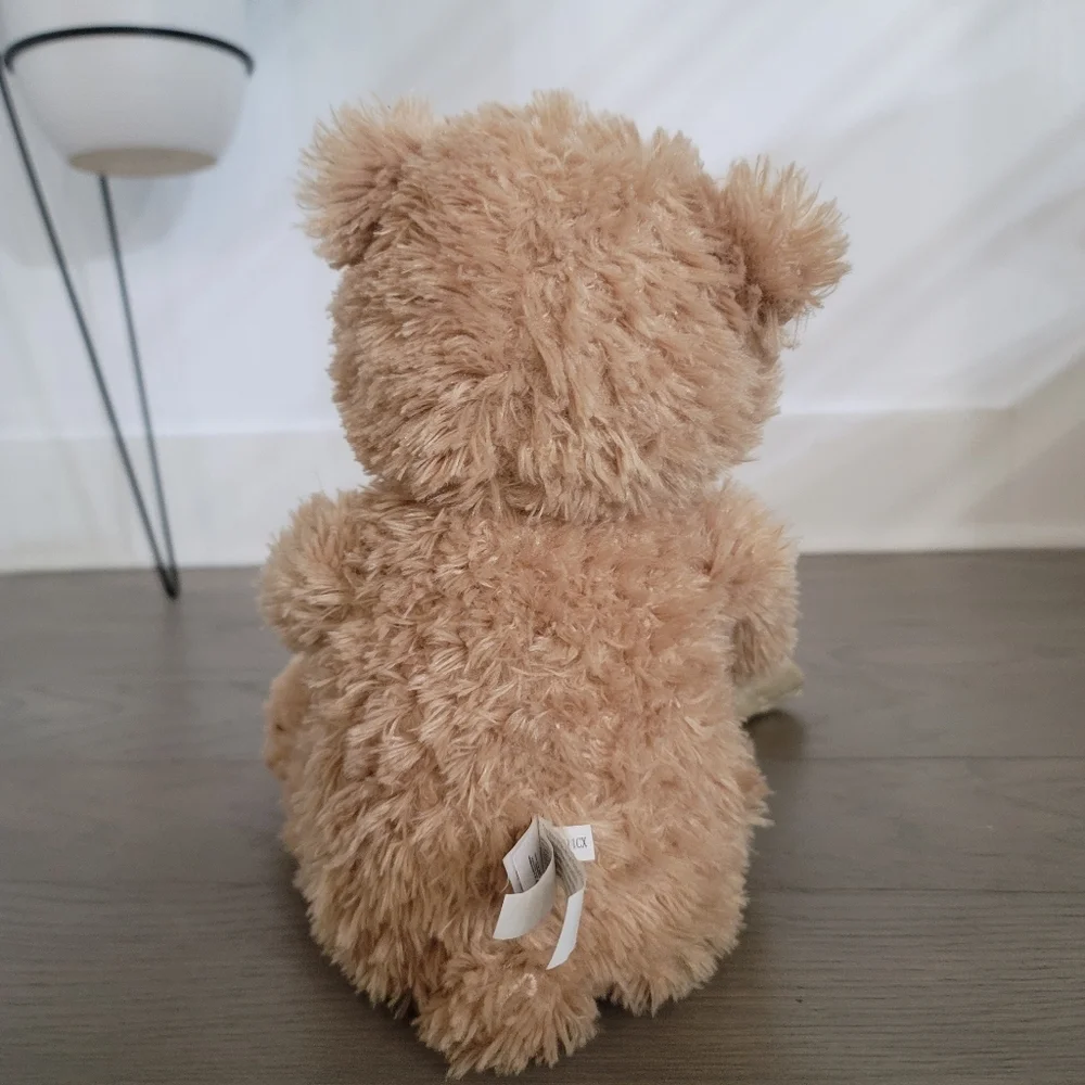 Gund peek a boo bear for babies and toddlers. Fun to entertain toddlers. - Picture 5 of 5